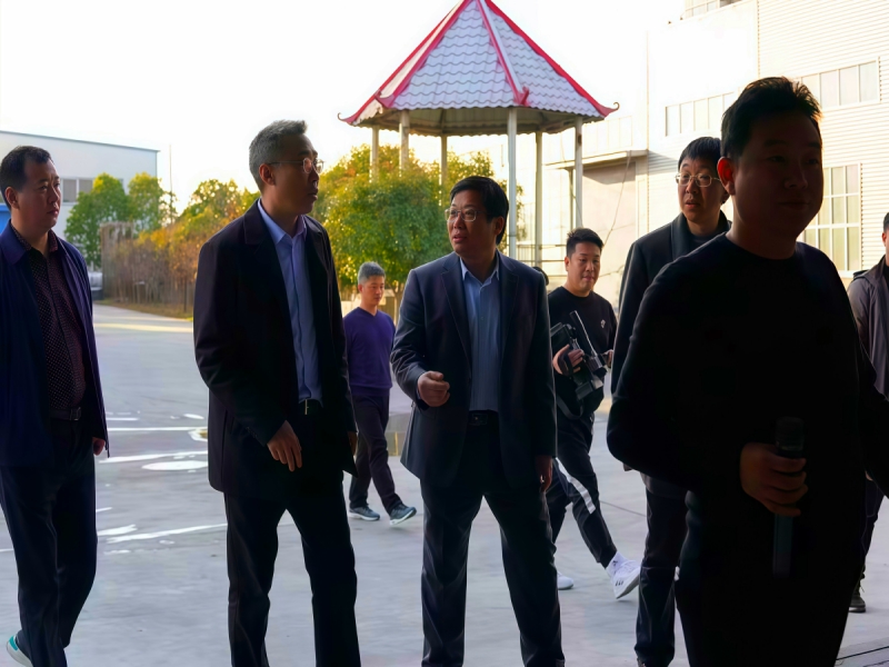 经济观摩团莅临河南路美参观指导